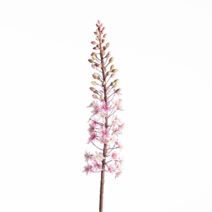 Af Eucomis Spray L87cm Pink