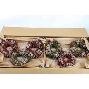 Wr Autumn Nature 20cm