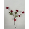AF Gompy spray x5 L51cm red