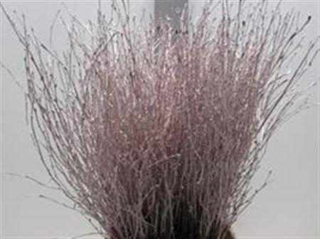 <h4>BERK CHAMPAGNE L60</h4>