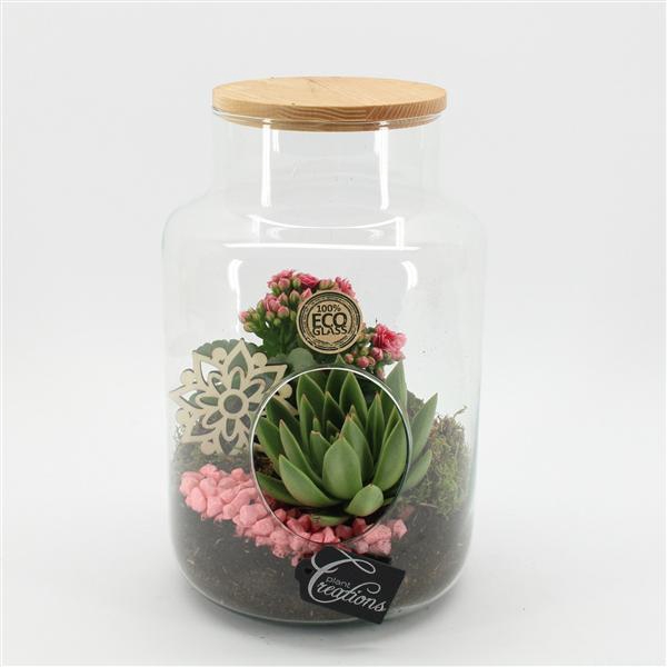 <h4>ESCR-2505RZ Essentials terrarium</h4>