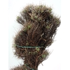 EUPHORBIA SPINOSA SHORT 400