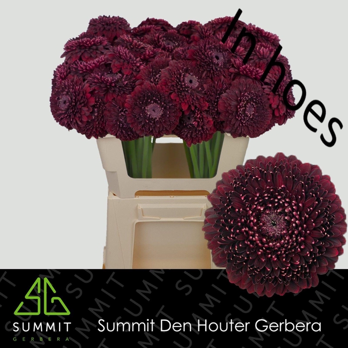 <h4>GE MB BLACK PEARL</h4>