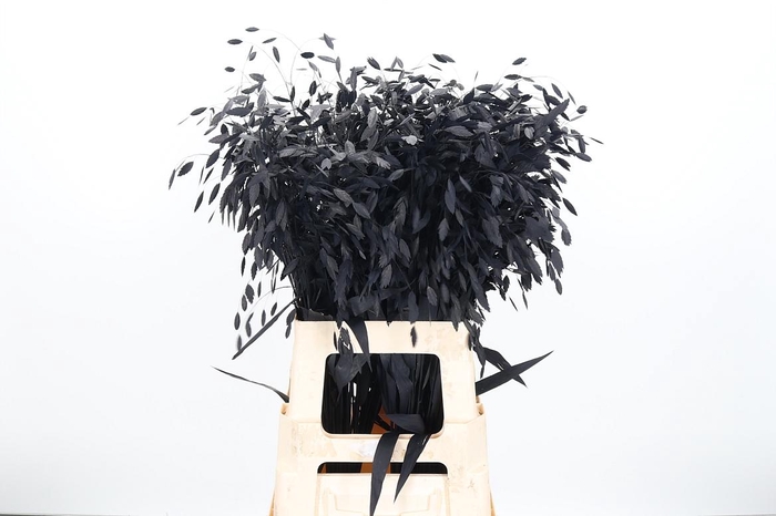 <h4>Chasmantium Kl Bh Zwart</h4>