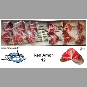 ANTH A RED AMOR