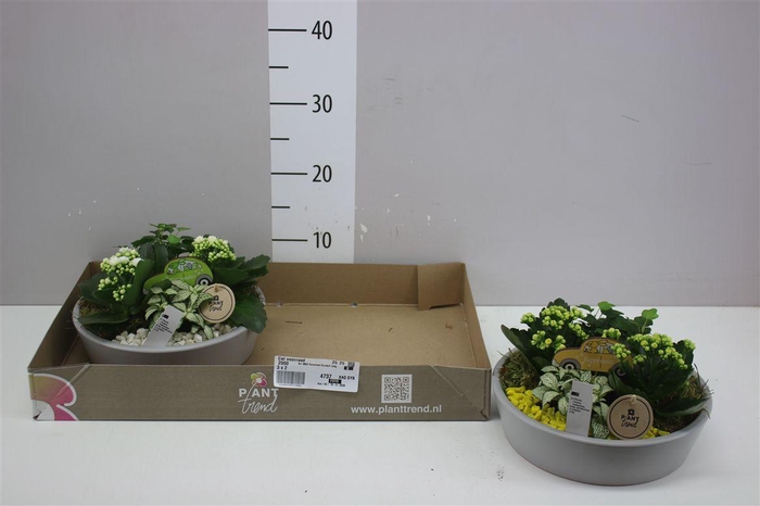 <h4>Arr 9852 Keramiek Konisch Laag</h4>