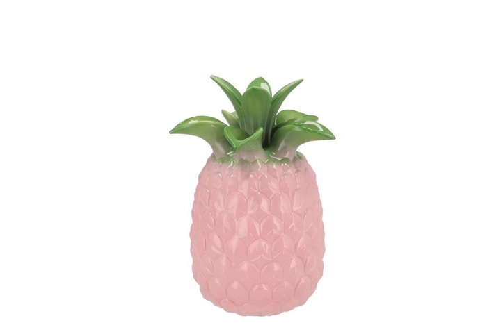 Pineapple Tropical Pink Vase 14x14x18cm Nm