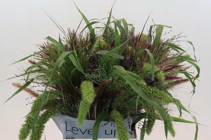 <h4>SIERGR GEM FUST</h4>