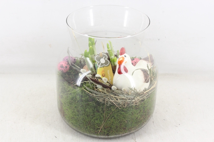 <h4>arr4 Narcis PL - Glas candy kip</h4>