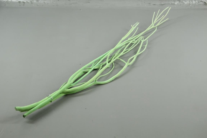 <h4>Mitsumata Flock Mint Gr Bs(3)</h4>