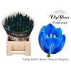 TU EN RV DELFT BLUE