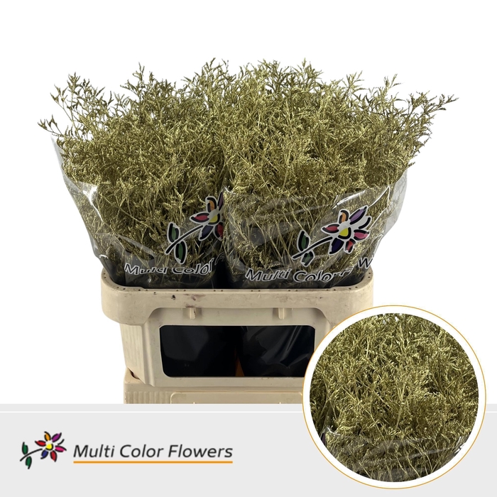 <h4>LIM OV KLB H%</h4>