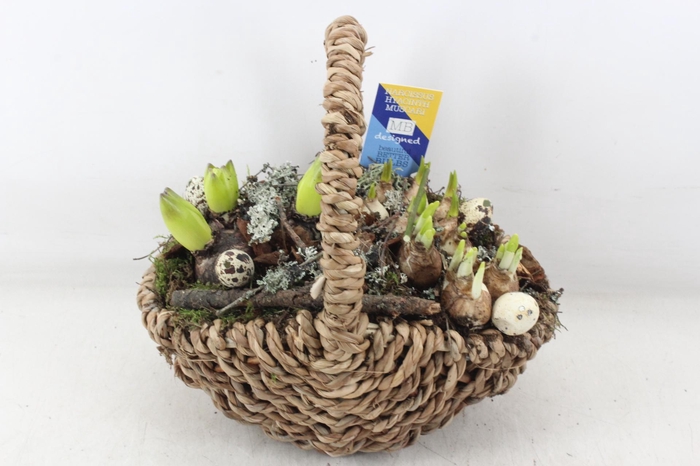 <h4>arr4 Bollenmix MB - Tasmand x4</h4>