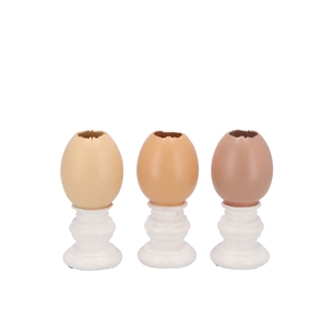 Easter Egg Trophy Natural Brown Mix Vase Ass 6x6x11cm