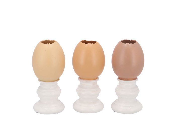 <h4>Easter Egg Trophy Natural Brown Mix Vase Ass 6x6x11cm</h4>