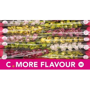 Mini cymbidium 'Mix 60 cm'