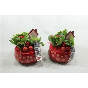 7204 KER ROOD LUXE X-MAS