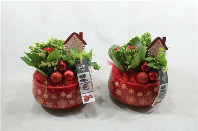 <h4>7204 KER ROOD LUXE X-MAS</h4>