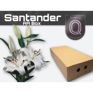 LI OR SANTANDER AA doos 5+