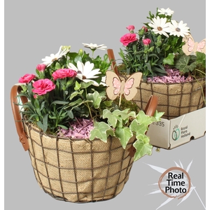 ARR TUINPLANTEN