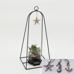 Arr.   Kamerplant Groen H%