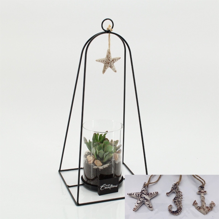 <h4>Arr.   Kamerplant Groen H%</h4>