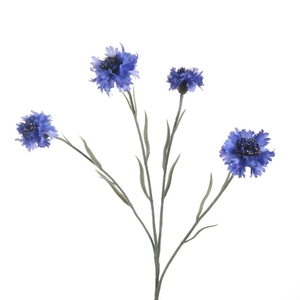 AF Centaurea x4 L59cm Purple