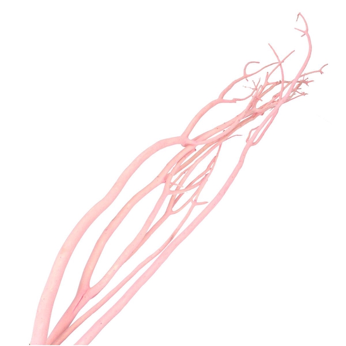 <h4>Dried articles Mitsumata flock 115cm x3</h4>