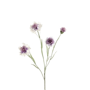 Cornflower 61cm