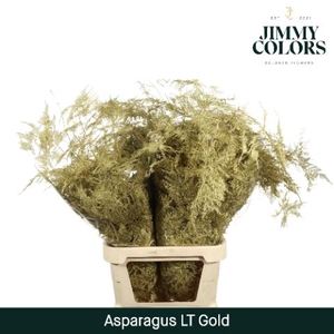 Aspa Lang Getopt Gold