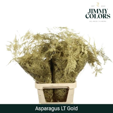 <h4>Aspa Lang Getopt Gold</h4>