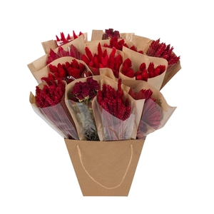 Droogbloemen-Dried Mono Mix 50cm-Red