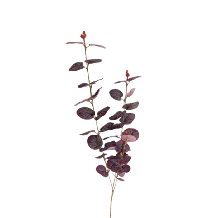 <h4>Kunstbloemen Eucalyptus 80cm</h4>
