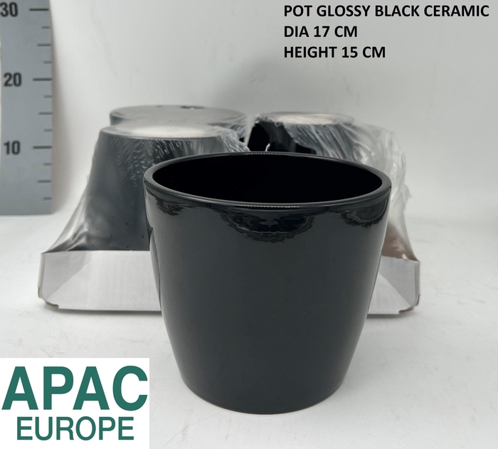 <h4>KERAMISCHE POT H%</h4>