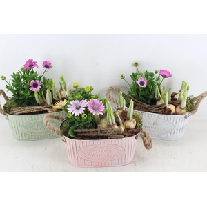 arr4 Outdoor PL - Zink ovaal colour mix