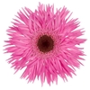 GE MI BOUQUET