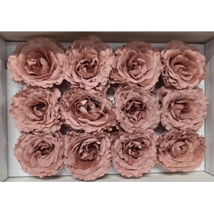 Ro Pres Rom Mini Pink Dusty