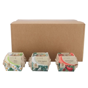 Greengift Daisy Eggplant Sweet Pepper Mix Carton 11x8cm