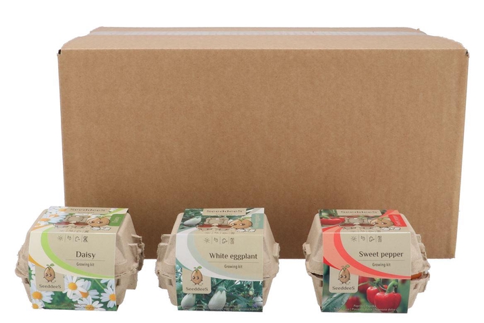 <h4>Greengift Daisy Eggplant Sweet Pepper Mix Carton 11x8cm</h4>