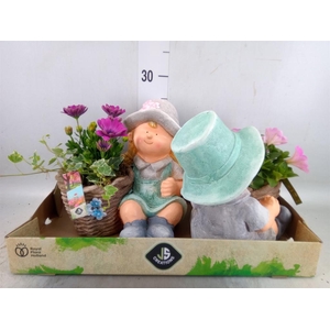 Arr.   Perkplanten L%