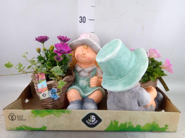 <h4>Arr.   Perkplanten L%</h4>