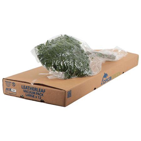 <h4>DEC LEDERFAHRN GROSS</h4>