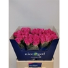 Rosa GR 'Miss Piggy'