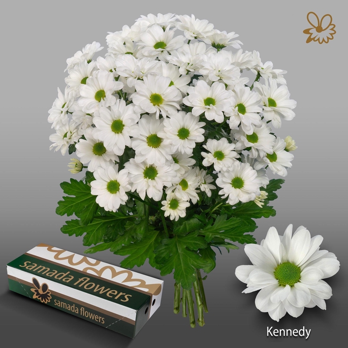 <h4>CHR T Kennedy</h4>