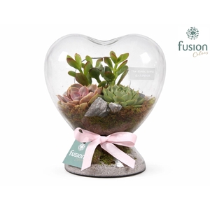 Green Bottle Hart met Succulenten