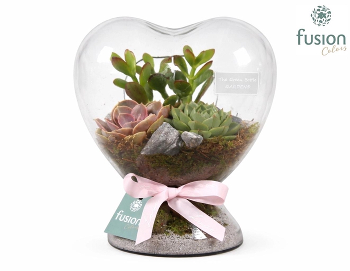 <h4>Green Bottle Hart met Succulenten</h4>