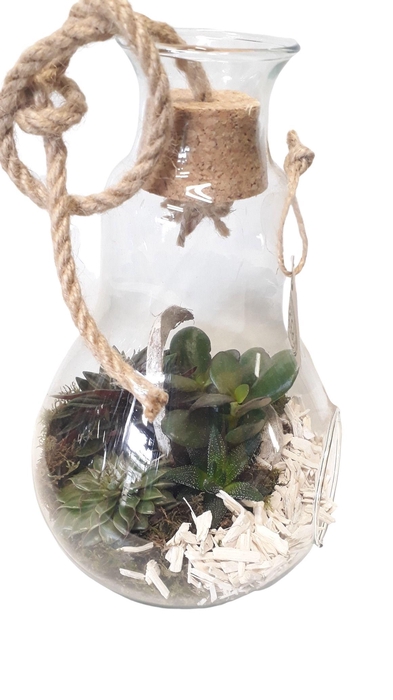 <h4>912 WHI Terrarium Peerglas white deco</h4>