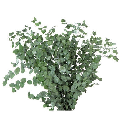 Eucalyptus Gunny Green GUN/4103