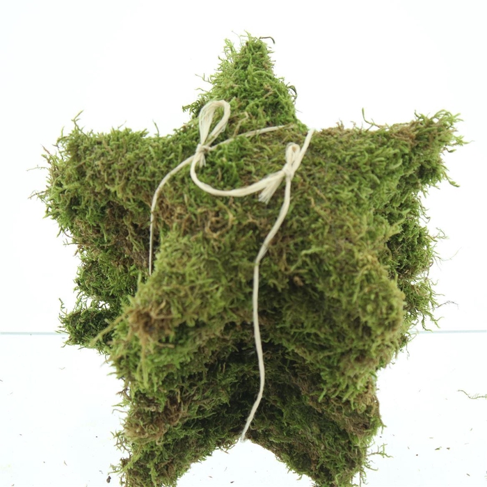 <h4>Pres Moss Star Green Small</h4>