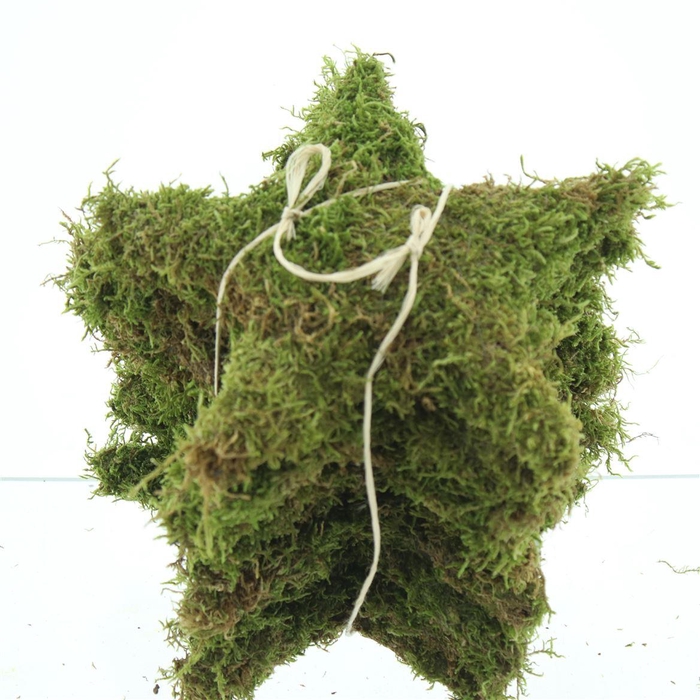 <h4>Pres Moss Star Green Small</h4>